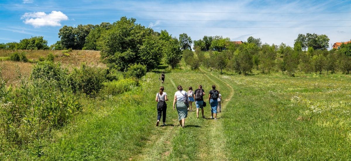A group of people hiking in the lush, green countryside of Ribnjačka, Croatia on a sunny day.