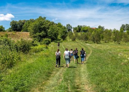A group of people hiking in the lush, green countryside of Ribnjačka, Croatia on a sunny day.
